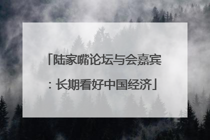 陆家嘴论坛与会嘉宾：长期看好中国经济