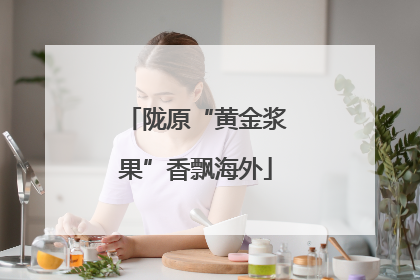陇原“黄金浆果”香飘海外