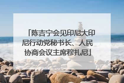 陈吉宁会见印尼大印尼行动党秘书长、人民协商会议主席穆扎尼