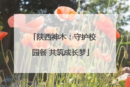 陕西神木：守护校园餐 共筑成长梦