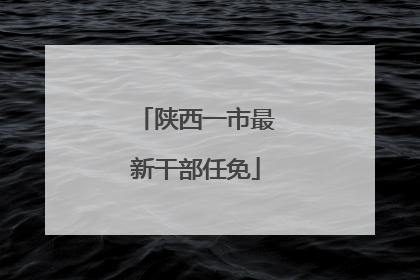 陕西一市最新干部任免