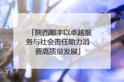 陕西顺丰以卓越服务与社会责任助力消费高质量发展