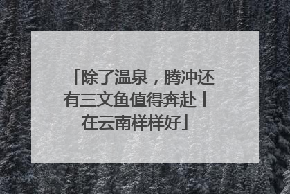 除了温泉，腾冲还有三文鱼值得奔赴丨在云南样样好