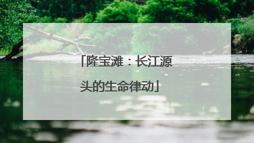 隆宝滩：长江源头的生命律动