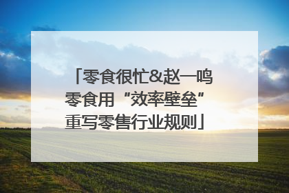 零食很忙&赵一鸣零食用“效率壁垒”重写零售行业规则