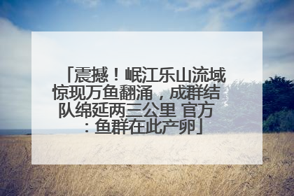 震撼！岷江乐山流域惊现万鱼翻涌，成群结队绵延两三公里 官方：鱼群在此产卵