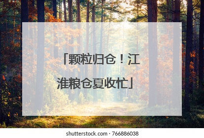 颗粒归仓！江淮粮仓夏收忙