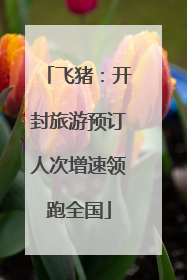 飞猪：开封旅游预订人次增速领跑全国