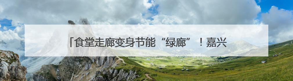食堂走廊变身节能“绿廊”！嘉兴机关节能展把绿色理念融入日常