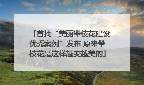 首批“美丽攀枝花建设优秀案例”发布 原来攀枝花是这样越变越美的