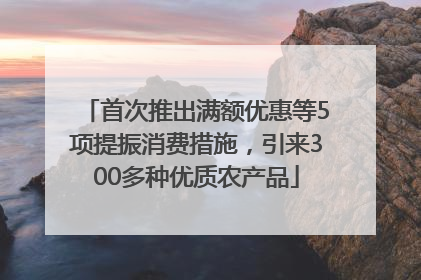 首次推出满额优惠等5项提振消费措施，引来300多种优质农产品