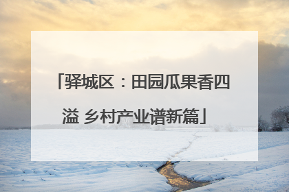 驿城区：田园瓜果香四溢 乡村产业谱新篇