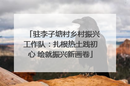 驻李子塘村乡村振兴工作队：扎根热土践初心 绘就振兴新画卷