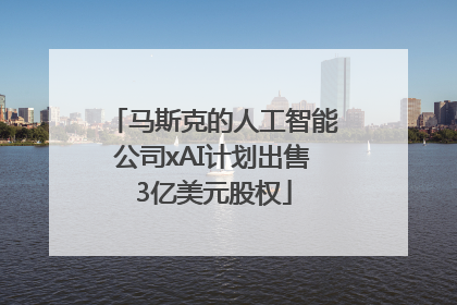 马斯克的人工智能公司xAI计划出售3亿美元股权