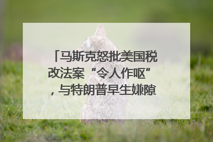 马斯克怒批美国税改法案“令人作呕”，与特朗普早生嫌隙？｜国际识局