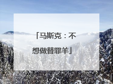 马斯克：不想做替罪羊