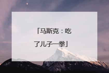马斯克：吃了儿子一拳