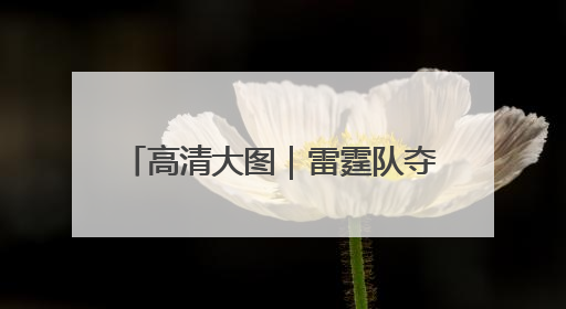 高清大图｜雷霆队夺得2024-2025赛季NBA总冠军
