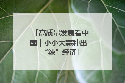 高质量发展看中国｜小小大蒜种出“辣”经济