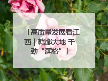 高质量发展看江西｜赣鄱大地 干劲“满格”