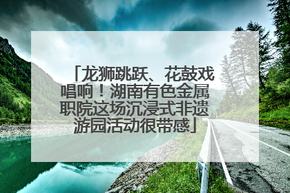 龙狮跳跃、花鼓戏唱响！湖南有色金属职院这场沉浸式非遗游园活动很带感