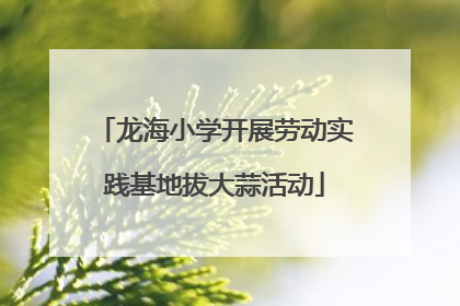 龙海小学开展劳动实践基地拔大蒜活动