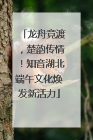 龙舟竞渡，楚韵传情！知音湖北端午文化焕发新活力