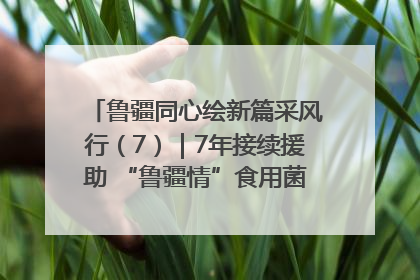 鲁疆同心绘新篇采风行（7）｜7年接续援助 “鲁疆情”食用菌从1.0走向4.0