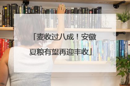 麦收过八成！安徽夏粮有望再迎丰收