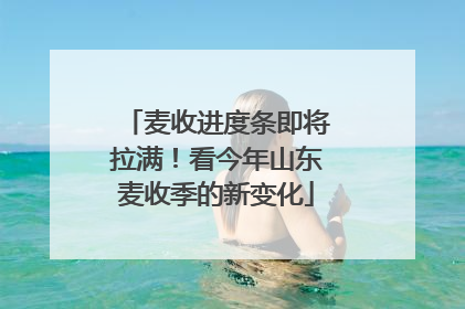 麦收进度条即将拉满！看今年山东麦收季的新变化