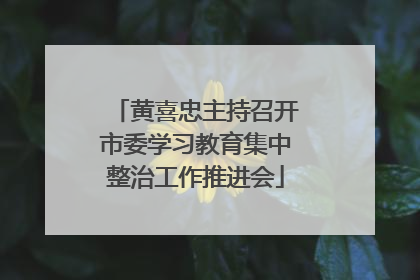 黄喜忠主持召开市委学习教育集中整治工作推进会