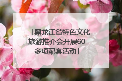 黑龙江省特色文化旅游推介会开展60多项配套活动