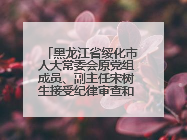 黑龙江省绥化市人大常委会原党组成员、副主任宋树生接受纪律审查和监察调查