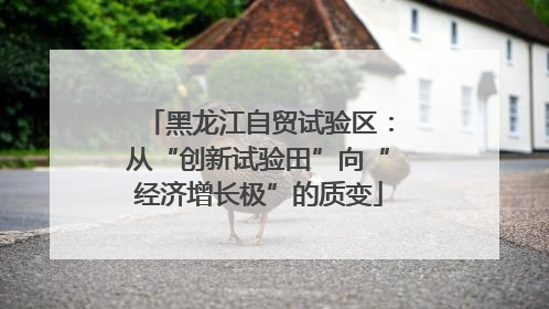 黑龙江自贸试验区：从“创新试验田”向“经济增长极”的质变
