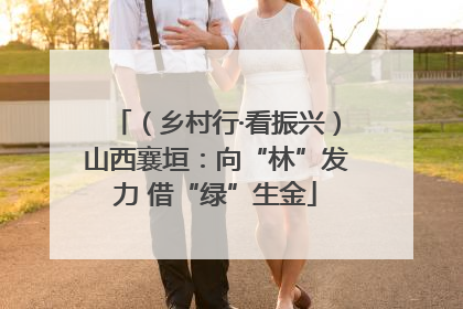 （乡村行·看振兴）山西襄垣：向“林”发力 借“绿”生金