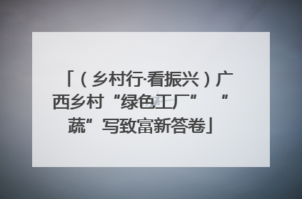 （乡村行·看振兴）广西乡村“绿色工厂” “蔬”写致富新答卷