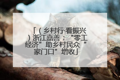 （乡村行·看振兴）浙江嘉善：“零工经济”助乡村民众“家门口”增收