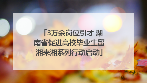 3万余岗位引才 湖南省促进高校毕业生留湘来湘系列行动启动