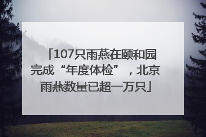 107只雨燕在颐和园完成“年度体检”，北京雨燕数量已超一万只