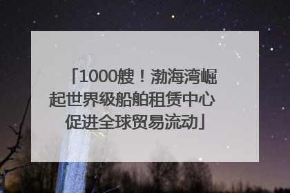 1000艘！渤海湾崛起世界级船舶租赁中心 促进全球贸易流动