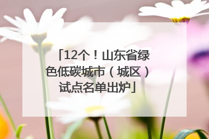 12个！山东省绿色低碳城市（城区）试点名单出炉