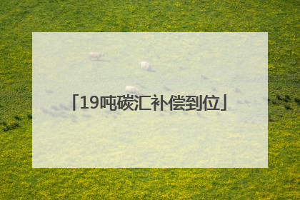 19吨碳汇补偿到位
