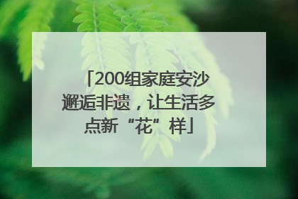 200组家庭安沙邂逅非遗，让生活多点新“花”样