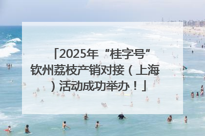 2025年“桂字号”钦州荔枝产销对接（上海）活动成功举办！