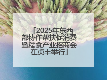 2025年东西部协作帮扶促消费暨糯食产业招商会在贞丰举行