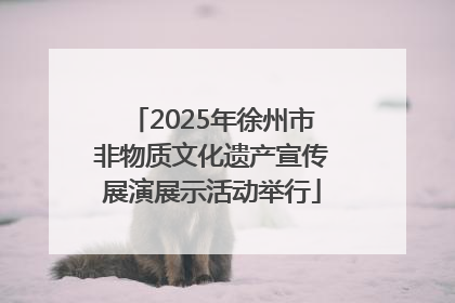 2025年徐州市非物质文化遗产宣传展演展示活动举行