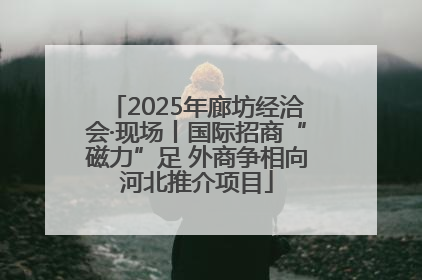 2025年廊坊经洽会·现场丨国际招商“磁力”足 外商争相向河北推介项目