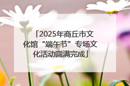 2025年商丘市文化馆“端午节”专场文化活动圆满完成