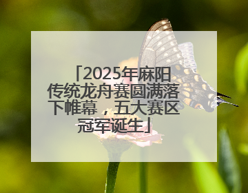 2025年麻阳传统龙舟赛圆满落下帷幕，五大赛区冠军诞生