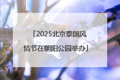 2025北京泰国风情节在朝阳公园举办